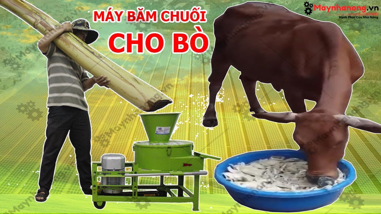 >Máy băm thái chuối Okasu TK 2019 đa năng chất lượng